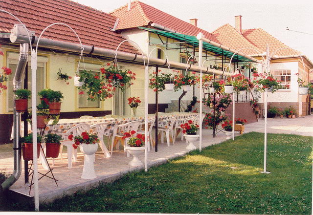 apartament suzy